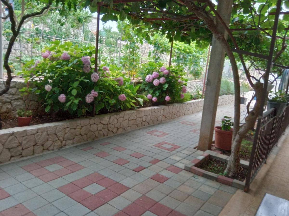 Apartment Tea-1 Donji Okrug  ภายนอก รูปภาพ